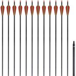Pijlen voor recurveboog standaard 30" 0,76 cm koolstof 12 stuks