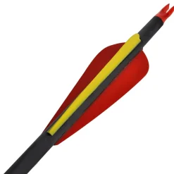 Pijlen voor recurveboog standaard 30