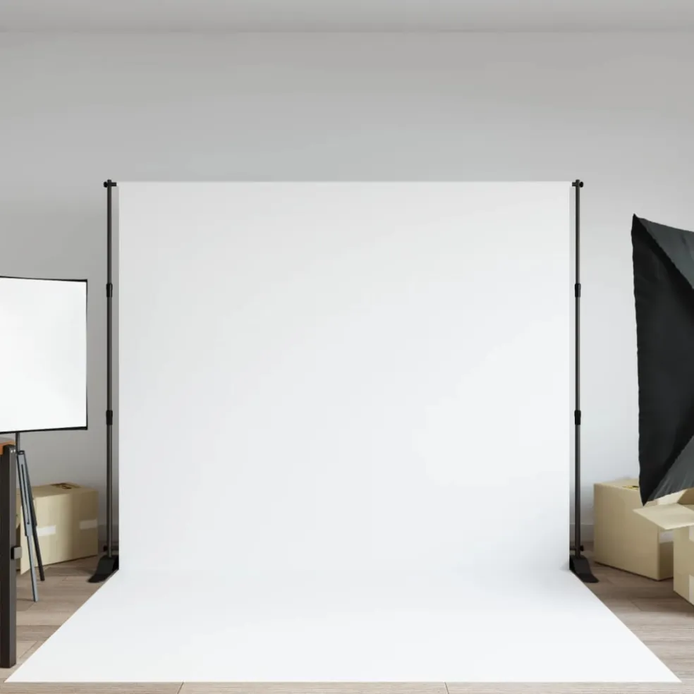 vidaXL Achtergrondstandaard 254x243 cm staal zwart