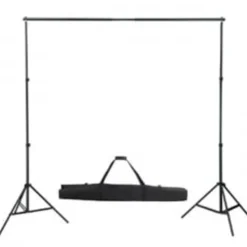 vidaXL Achtergrondsysteem 300x300 cm groen