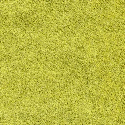 vidaXL Antislip Badmat Set 2 st Groen 50 x 50 cm PP