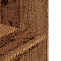 vidaXL Aquariumstandaard Oud Hout 60x30x60 cm Bewerkt Hout