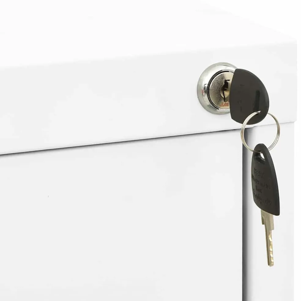 vidaXL Archiefkast 46x62x72,5 cm staal wit