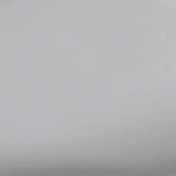 vidaXL Autofolie 100x150 cm matzilverkleurig