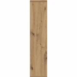 vidaXL Badkamerkast met rolhouder Artisan Oak 20,5x20x90 cm