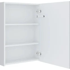vidaXL Badkamerkast met spiegel en LED 50x13x70 cm