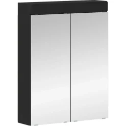 vidaXL Badkamer spiegelkast TULUM Beton Grijs 60 x 16,5 x 78 cm