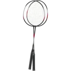 vidaXL Badmintonset met 2 rackets, net en opbergkoffer 292x30x152 cm