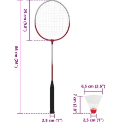 vidaXL Badmintonset met 4 rackets en net 620x151 cm