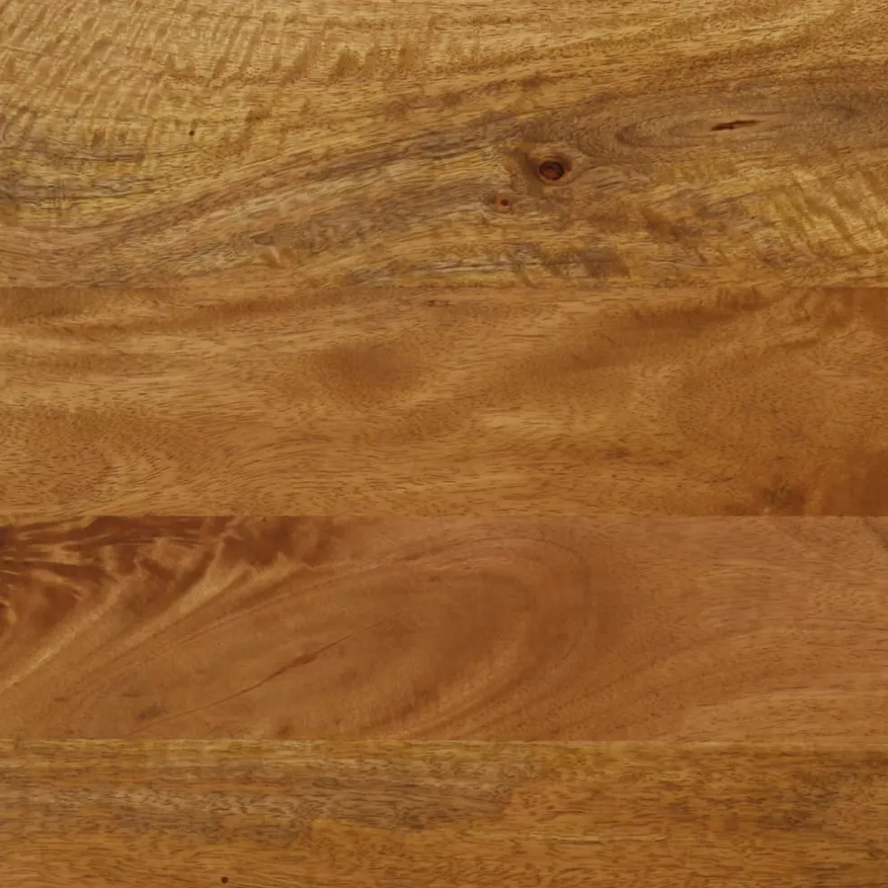 vidaXL Bankje 160x40x45 cm massief mangohout en ijzer