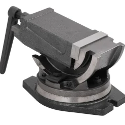 vidaXL Bankschroef met 2 assen kantelbaar 100 mm