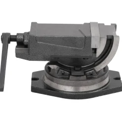 vidaXL Bankschroef met 2 assen kantelbaar 100 mm