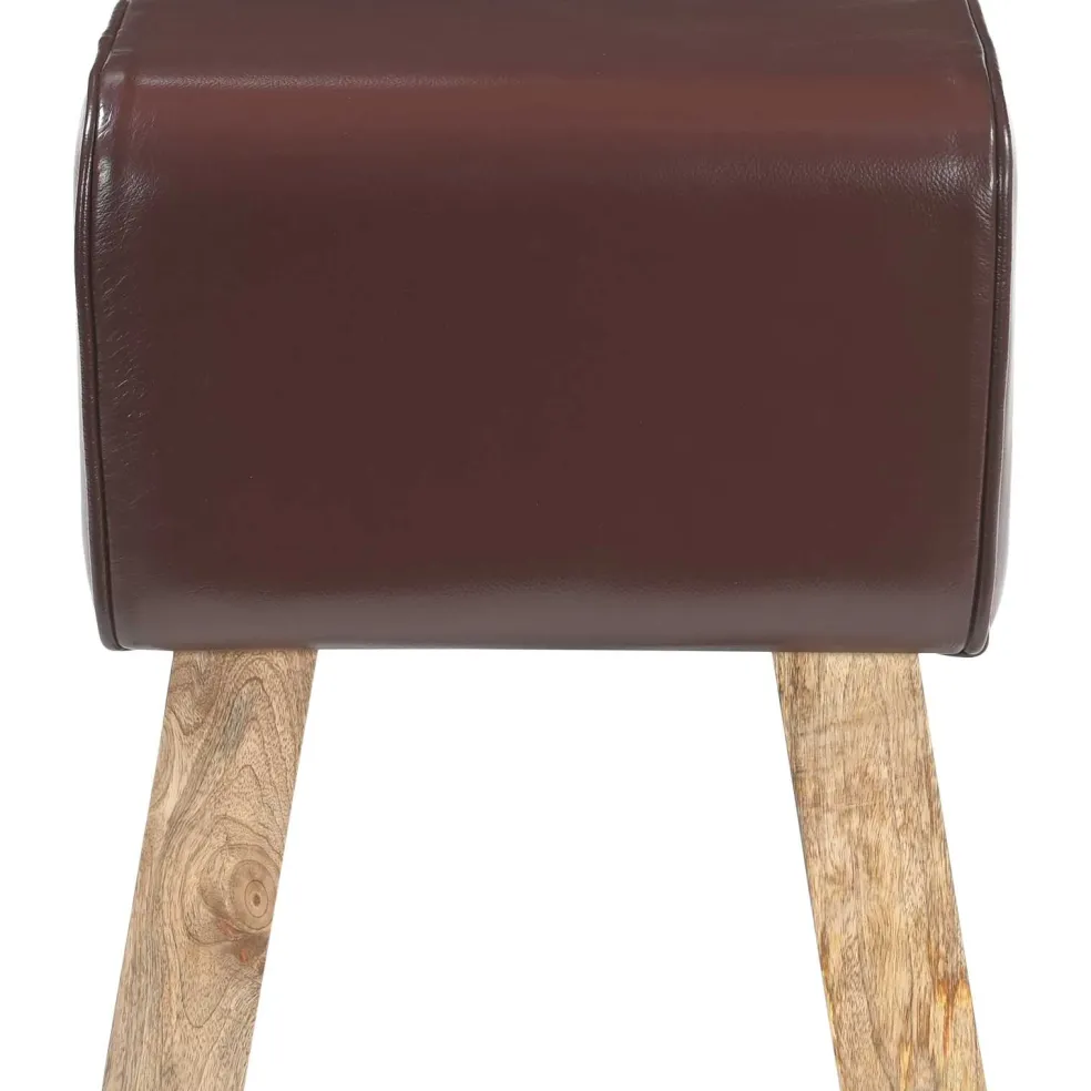 vidaXL Bank 60 x 30 x 45 cm Echt Leer Donkerbruin