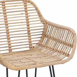 vidaXL Barkruk 2 st Naturel 55 x 52 x 105 cm Riet en IJzer