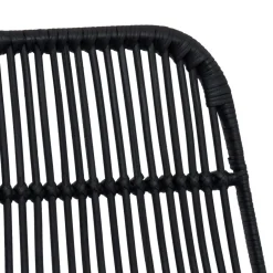 vidaXL Barkruk 2 st Zwart 44 x 55 x 109 cm Rattan en staal