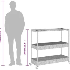 vidaXL Bartrolley 3-laags poly rattan en massief acaciahout zwart