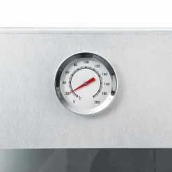 vidaXL BBQ-rookoven met 1 kg houtsnippers 44,5x29x83 cm