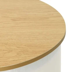 vidaXL Beursbalie Lichtbruin en wit 80 x 40 x 93 cm Bewerkt hout en PP