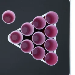 vidaXL Bierpongtafelset 0,5 L kunststof