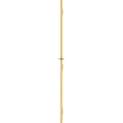 vidaXL Binnendeur smal 76x201,5 cm gehard glas en aluminium goudkleur