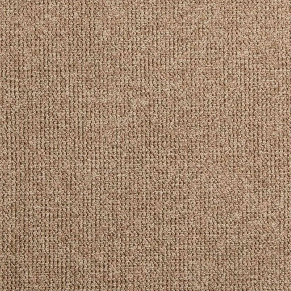vidaXL Binnen- en buitentapijt AGIRA Naturel 150 x 80 cm Polyester