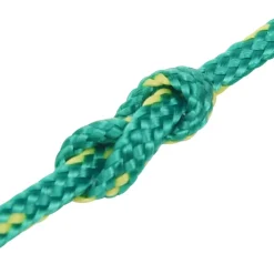 vidaXL Boottouw 2 mm 25 m polypropyleen groen