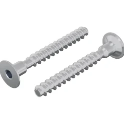 vidaXL Bout 2 st Verzinkt 5 x 40 mm IJzer
