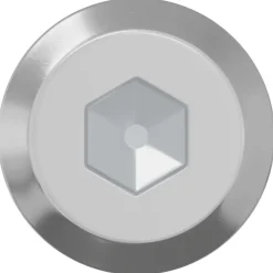 vidaXL Bout 2 st Zilver M6 x 50 mm Staal
