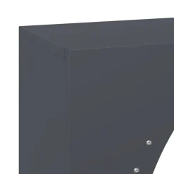 vidaXL Brandhoutrek 50x23x100 cm koudgewalst staal antracietkleurig