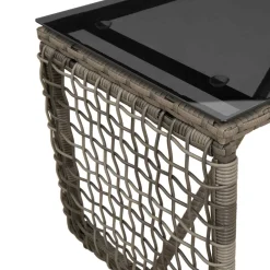 vidaXL Buiten Tafel Grijs en zwart 80 x 40 x 40 cm PE Rattan en Glas