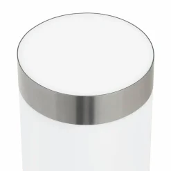 vidaXL Buiten Wandlamp Zilver 12 x 8,5 x 29 cm