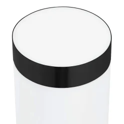 vidaXL Buiten Wandlamp Zwart 12 x 8,5 x 29 cm
