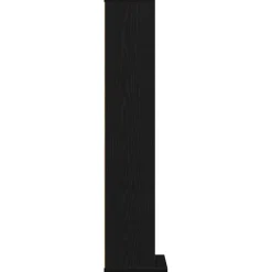 vidaXL CD-kast 21x20x88 cm spaanplaat zwart eikenkleurig