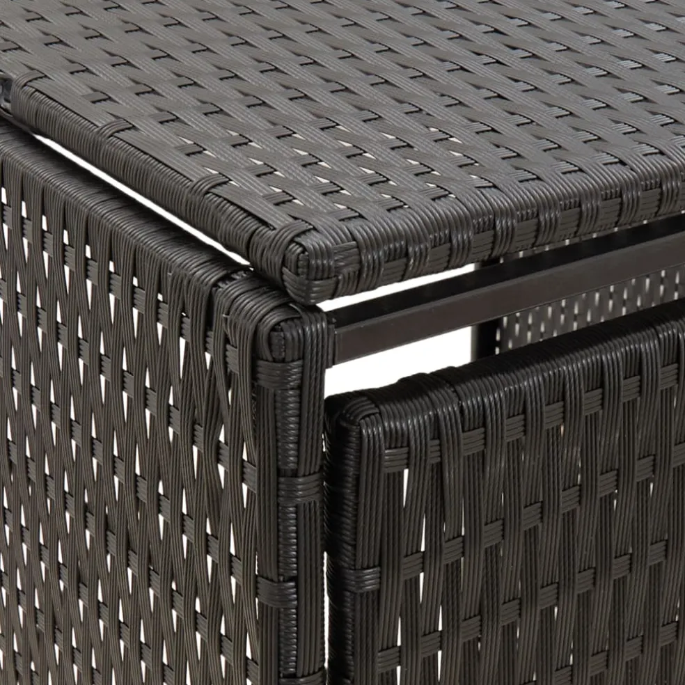 vidaXL Containerberging dubbel 140x80x117 cm poly rattan zwart