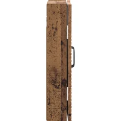 vidaXL Dartbord Kabinet UTRECHT Oud hout 52,5 x 10,5 x 53,5 cm