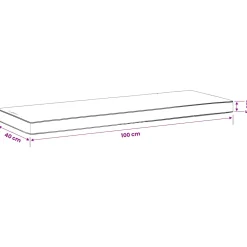 vidaXL 1-delig Bankkussen VUGHT 100% Polyester Wit 100 x 40 x 5 cm