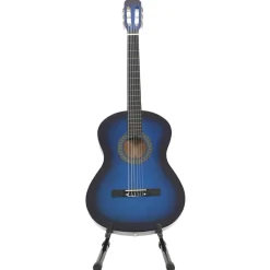 vidaXL 12-delige Gitaarset klassiek beginner 4/4 39