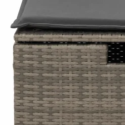 vidaXL 4-delige Loungeset met kussens poly rattan grijs