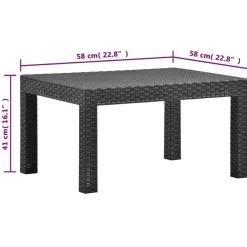 vidaXL 2-delige Loungeset met kussens PP rattan antracietkleurig