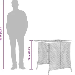vidaXL 5-delige Tuinset met kussens poly rattan grijs