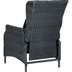 vidaXL 9-delige Tuinset met kussens poly rattan donkergrijs