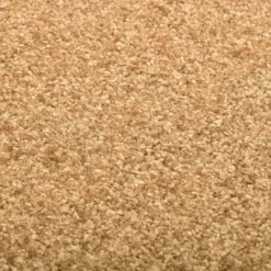 vidaXL Deurmat wasbaar 40x60 cm crème