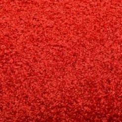 vidaXL Deurmat wasbaar 40x60 cm rood
