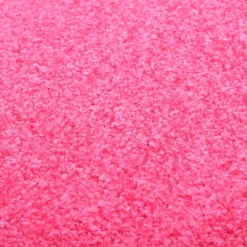 vidaXL Deurmat wasbaar 40x60 cm roze