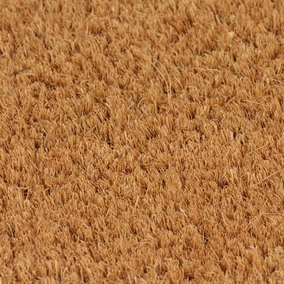vidaXL Deurmat 40x60 cm getufte kokosvezel naturel