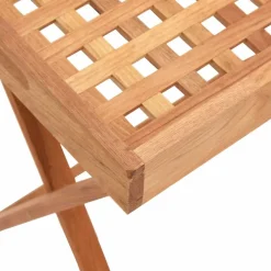 vidaXL Dienbladtafel inklapbaar 52x36x56,5 cm walnotenhout