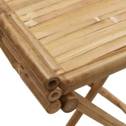 vidaXL Dienbladtafel inklapbaar 70,5x42,5x80 cm bamboe