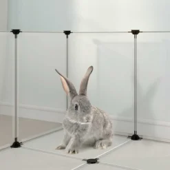 vidaXL Dierenhok klein 144x74x46,5 cm polypropeen en staal transparant