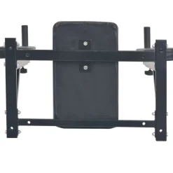 vidaXL Dipstation fitnessapparaat wandgemonteerd zwart