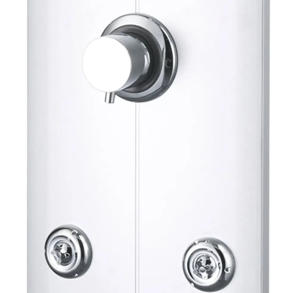 vidaXL Douchepaneel 25x43x110 cm zilverkleurig
